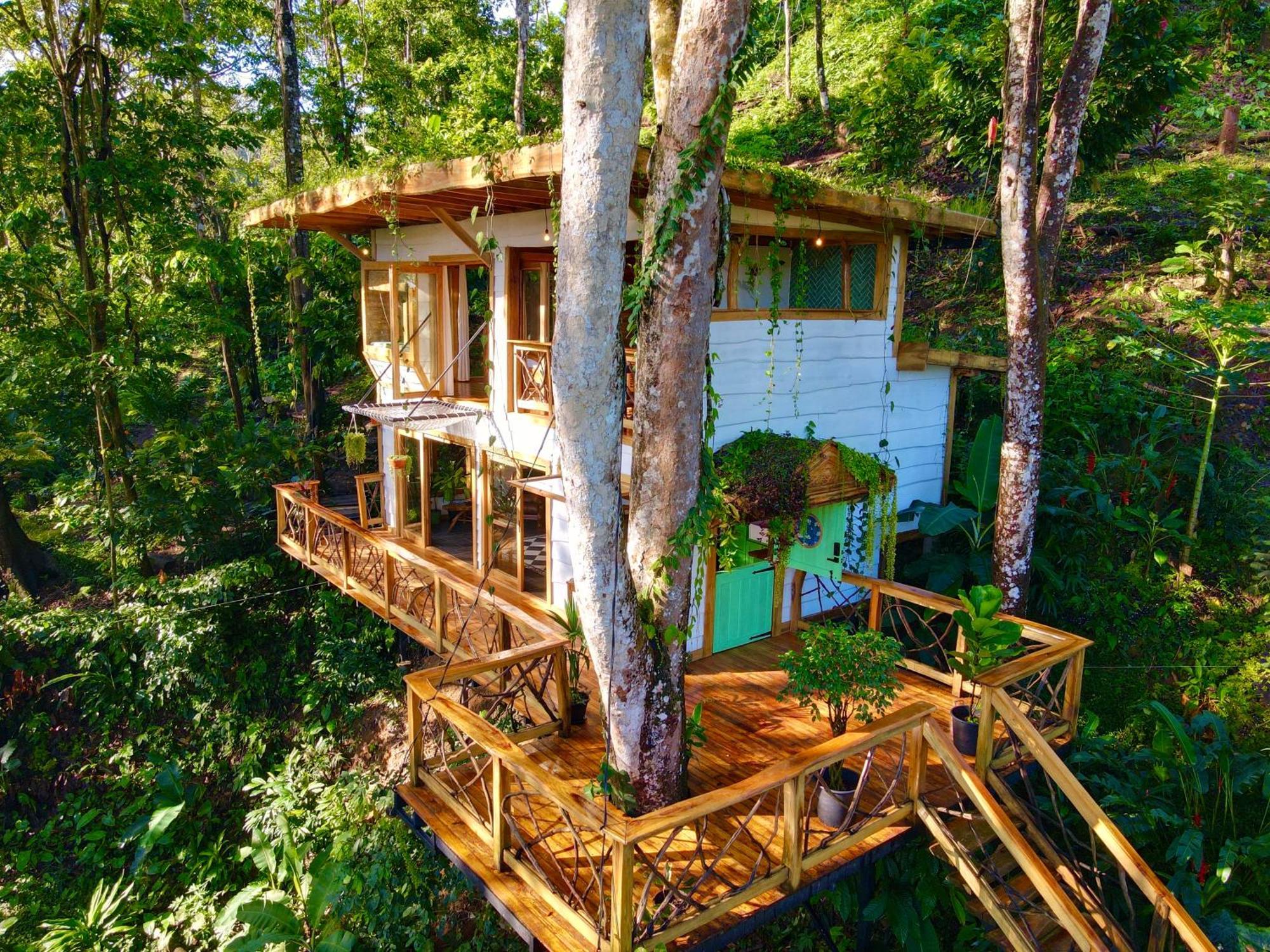 Jungle Spirit Treehouse Vila Cahuita Exterior foto