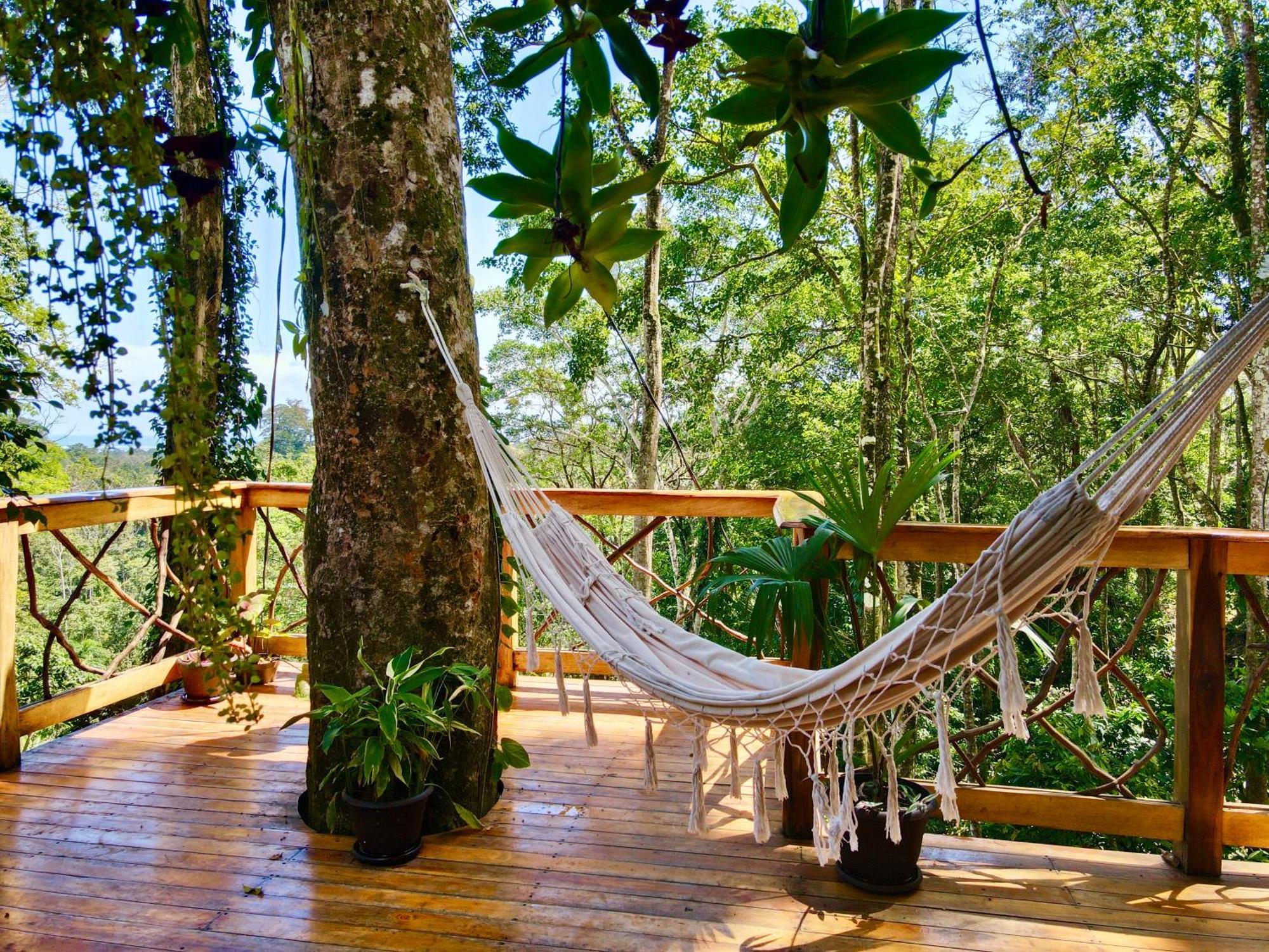 Jungle Spirit Treehouse Vila Cahuita Exterior foto