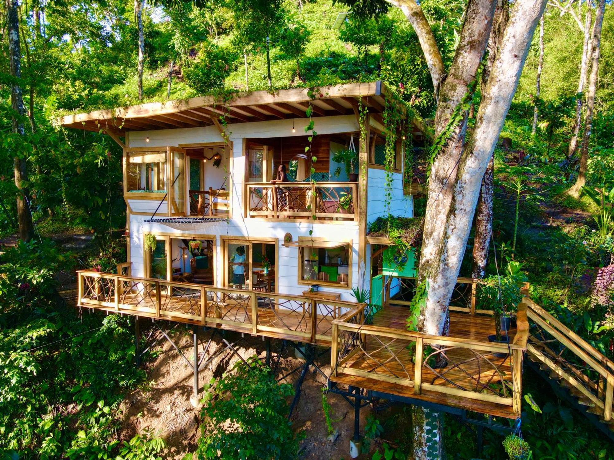 Jungle Spirit Treehouse Vila Cahuita Exterior foto