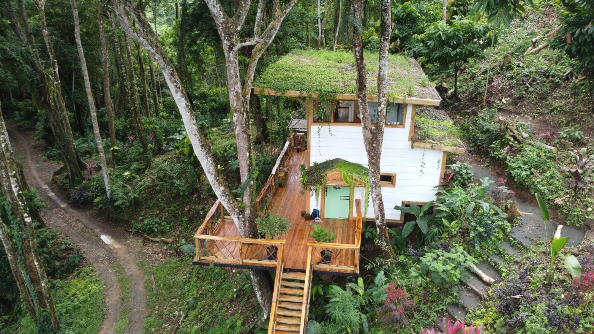 Jungle Spirit Treehouse Vila Cahuita Exterior foto