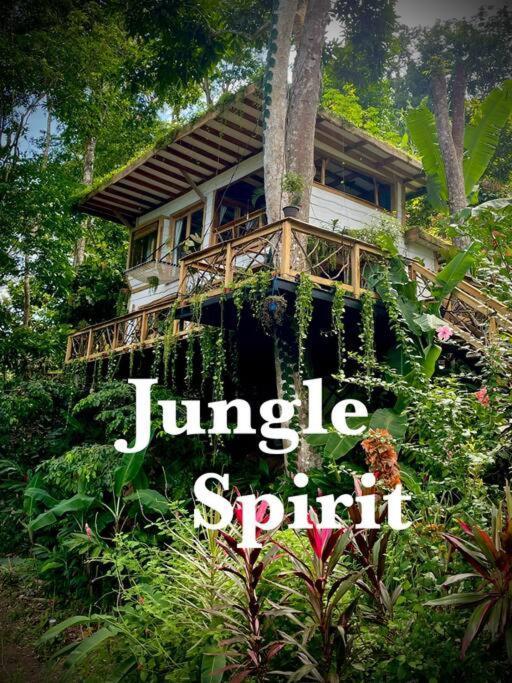 Jungle Spirit Treehouse Vila Cahuita Exterior foto