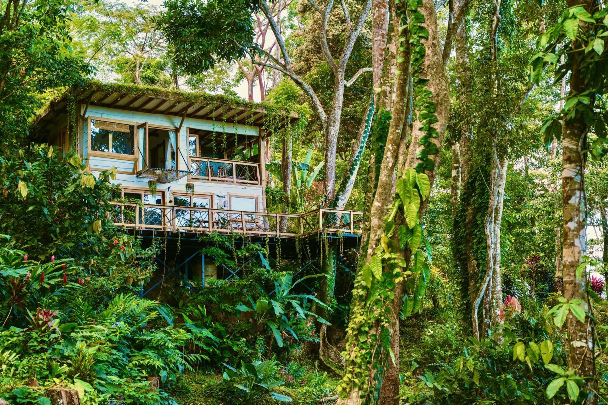 Jungle Spirit Treehouse Vila Cahuita Exterior foto