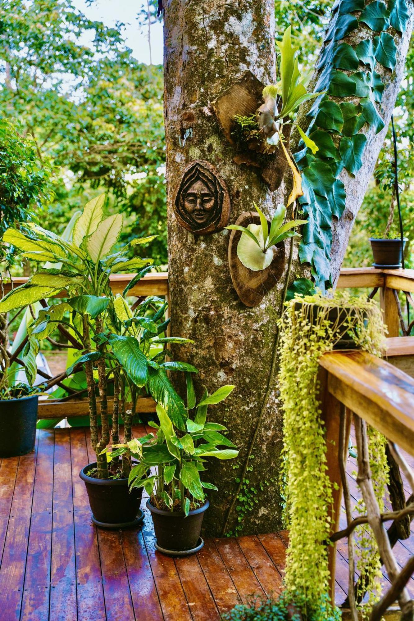 Jungle Spirit Treehouse Vila Cahuita Exterior foto