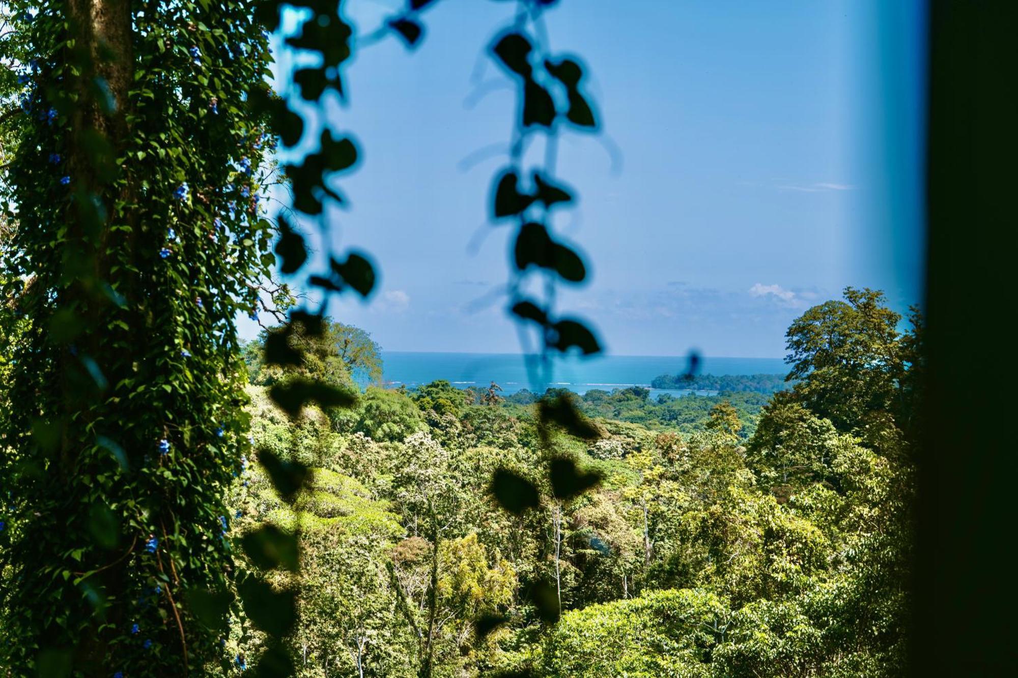 Jungle Spirit Treehouse Vila Cahuita Exterior foto
